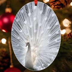 White Feathers, Animal, Bird, Feather, Peacock Uv Print Acrylic Ornament Oval by nateshop