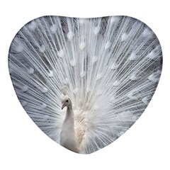 White Feathers, Animal, Bird, Feather, Peacock Heart Glass Fridge Magnet (4 Pack) by nateshop