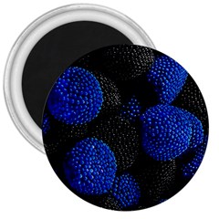 Berry, One,berry Blue Black 3  Magnets by nateshop