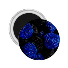 Berry, One,berry Blue Black 2 25  Magnets by nateshop