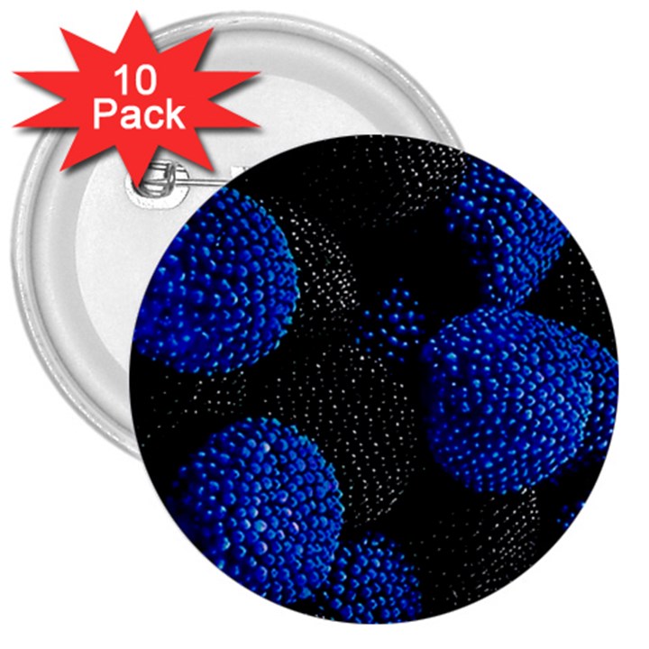 Berry, One,berry Blue Black 3  Buttons (10 pack) 