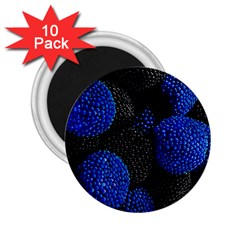 Berry, One,berry Blue Black 2 25  Magnets (10 Pack)  by nateshop