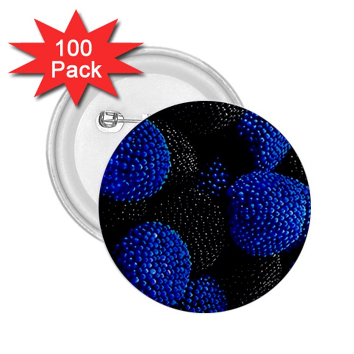 Berry, One,berry Blue Black 2.25  Buttons (100 pack) 