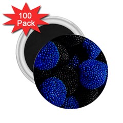 Berry, One,berry Blue Black 2 25  Magnets (100 Pack)  by nateshop