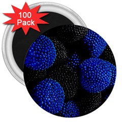 Berry, One,berry Blue Black 3  Magnets (100 Pack) by nateshop