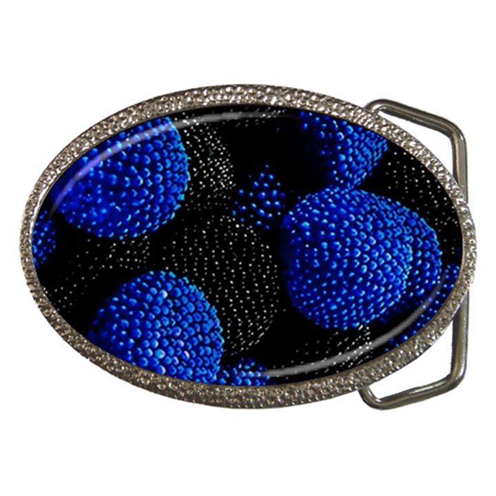 Berry, One,berry Blue Black Belt Buckles