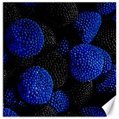 Berry, One,berry Blue Black Canvas 20  X 20  by nateshop