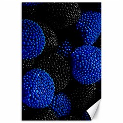 Berry, One,berry Blue Black Canvas 24  X 36  by nateshop