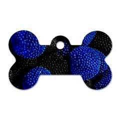 Berry, One,berry Blue Black Dog Tag Bone (two Sides) by nateshop