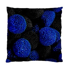 Berry, One,berry Blue Black Standard Cushion Case (one Side) by nateshop