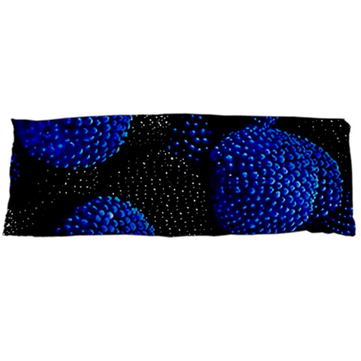 Berry, One,berry Blue Black Body Pillow Case Dakimakura (Two Sides)