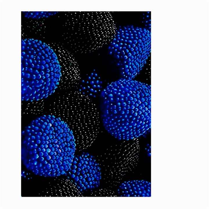 Berry, One,berry Blue Black Large Garden Flag (Two Sides)