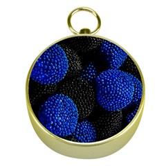 Berry, One,berry Blue Black Gold Compasses by nateshop