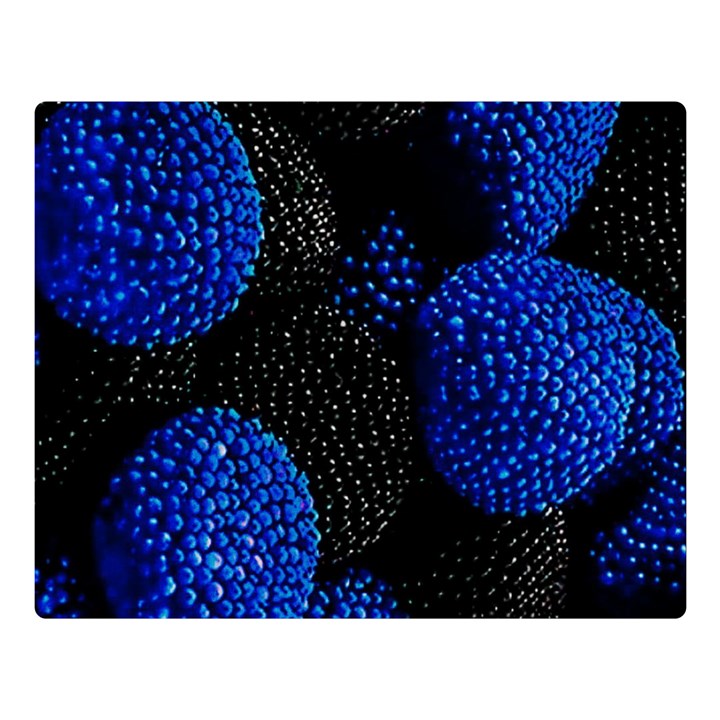 Berry, One,berry Blue Black Two Sides Premium Plush Fleece Blanket (Large)