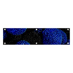 Berry, One,berry Blue Black Banner And Sign 4  X 1 