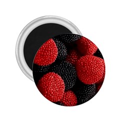 Berry,curved, Edge, 2 25  Magnets by nateshop