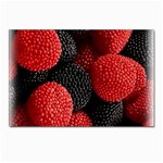 Berry,curved, Edge, Postcard 4 x 6  (Pkg of 10) Front