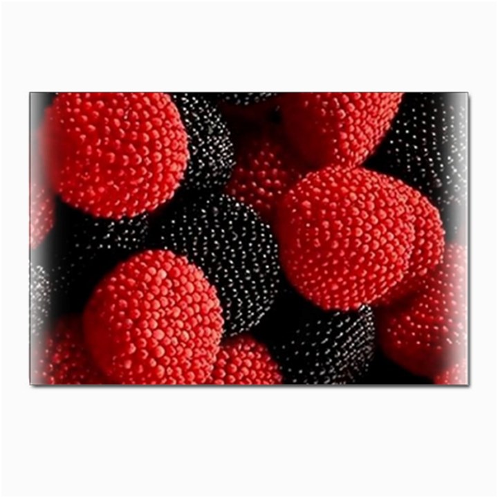 Berry,curved, Edge, Postcard 4 x 6  (Pkg of 10)