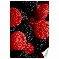 Berry,curved, Edge, Canvas 12  X 18  by nateshop