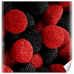 Berry,curved, Edge, Canvas 16  X 16  by nateshop