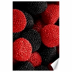 Berry,curved, Edge, Canvas 24  X 36  by nateshop