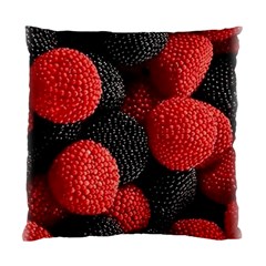 Berry,curved, Edge, Standard Cushion Case (one Side) by nateshop