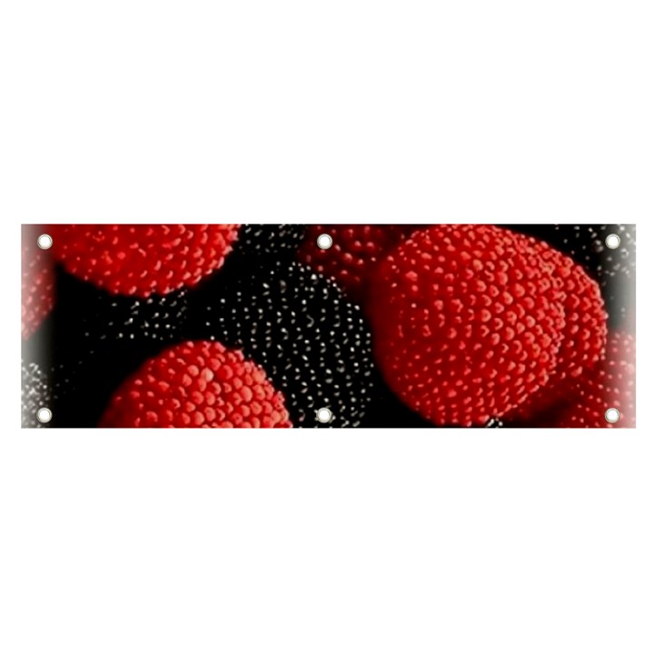 Berry,curved, Edge, Banner and Sign 6  x 2 