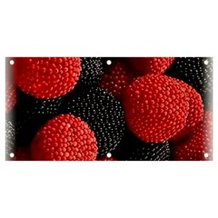 Berry,curved, Edge, Banner And Sign 4  X 2  by nateshop