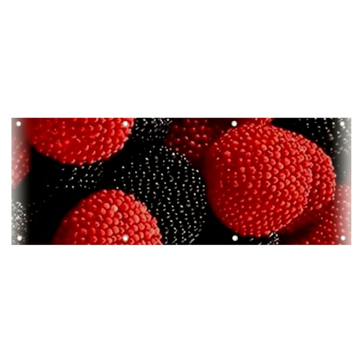 Berry,curved, Edge, Banner and Sign 8  x 3 