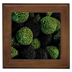 Berry,note, Green, Raspberries Framed Tile by nateshop