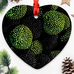 Berry,note, Green, Raspberries Ornament (heart) by nateshop