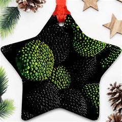 Berry,note, Green, Raspberries Ornament (star) by nateshop