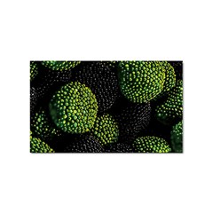 Berry,note, Green, Raspberries Sticker (rectangular) by nateshop