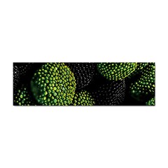 Berry,note, Green, Raspberries Sticker (bumper) by nateshop