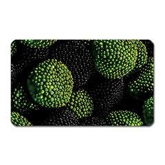 Berry,note, Green, Raspberries Magnet (rectangular) by nateshop