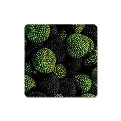 Berry,note, Green, Raspberries Square Magnet by nateshop