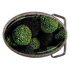 Berry,note, Green, Raspberries Belt Buckles by nateshop