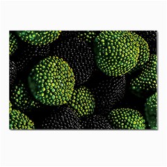 Berry,note, Green, Raspberries Postcard 4 x 6  (pkg Of 10) by nateshop