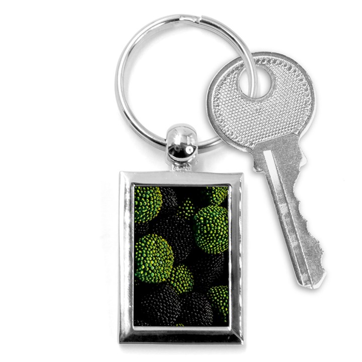 Berry,note, Green, Raspberries Key Chain (Rectangle)