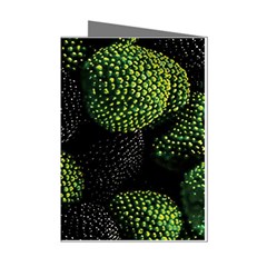 Berry,note, Green, Raspberries Mini Greeting Cards (pkg Of 8) by nateshop