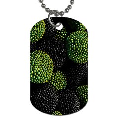 Berry,note, Green, Raspberries Dog Tag (one Side) by nateshop