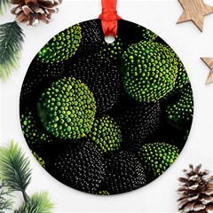 Berry,note, Green, Raspberries Round Ornament (two Sides)