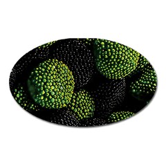 Berry,note, Green, Raspberries Oval Magnet by nateshop