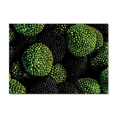 Berry,note, Green, Raspberries Sticker A4 (100 Pack) by nateshop