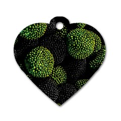 Berry,note, Green, Raspberries Dog Tag Heart (one Side) by nateshop