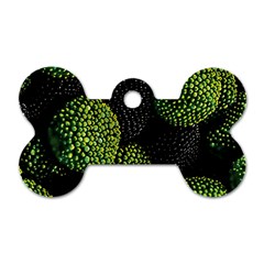 Berry,note, Green, Raspberries Dog Tag Bone (one Side) by nateshop