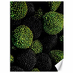 Berry,note, Green, Raspberries Canvas 36  X 48  by nateshop