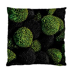 Berry,note, Green, Raspberries Standard Cushion Case (two Sides) by nateshop