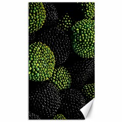 Berry,note, Green, Raspberries Canvas 40  X 72  by nateshop