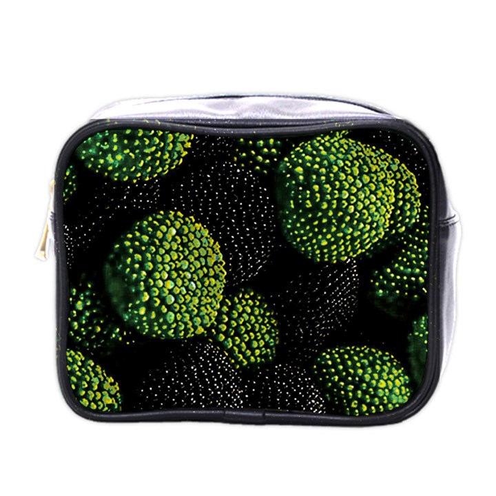 Berry,note, Green, Raspberries Mini Toiletries Bag (One Side)